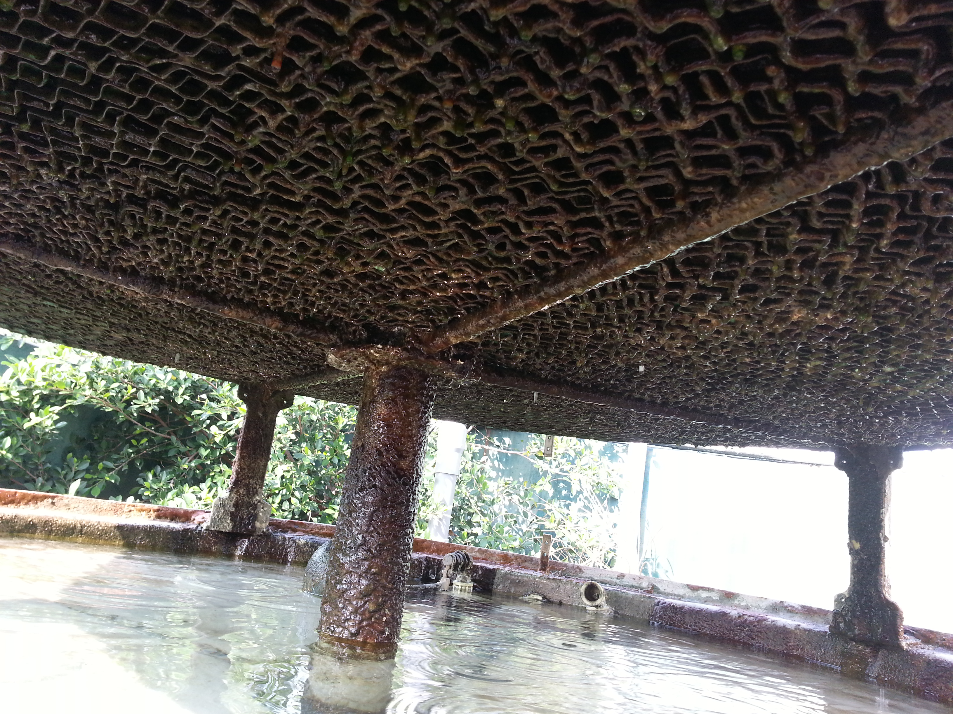 散熱材底部覆蓋厚層褐綠色生物膜，造成冷卻效率下降