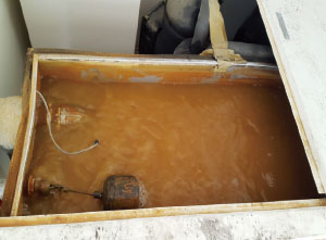 水槽未清洗前，內部水體呈現混濁，積滿雜質與污垢。